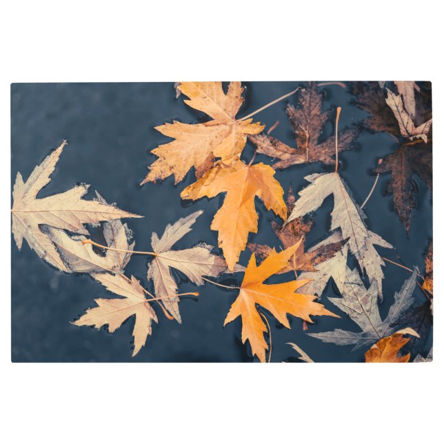 水落ちた離れ中の メタルプリント (正面)