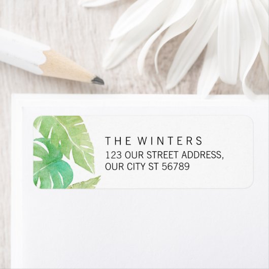 水葉色の熱帯 ラベル (インサイチュ)