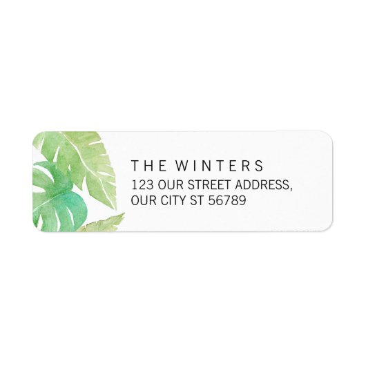 水葉色の熱帯 ラベル (正面)