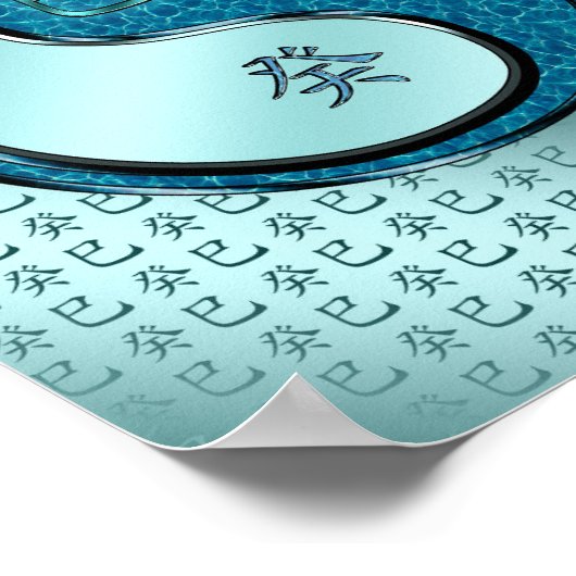 水蛇の年 ポスター (角)