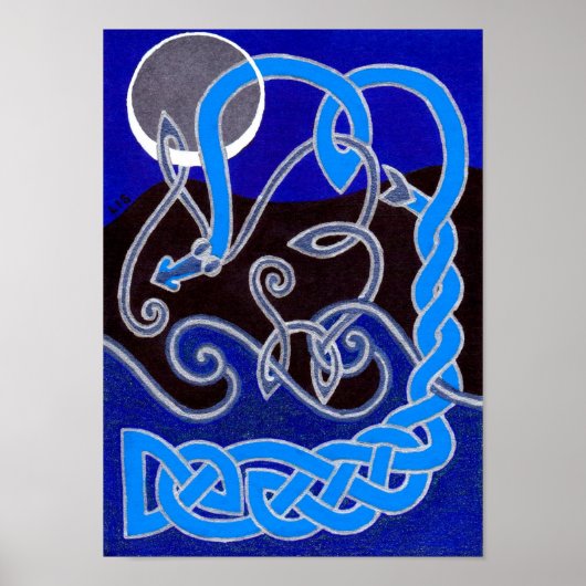 水蛇の年 ポスター (正面)