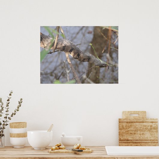 水蛇 ポスター (キッチン)