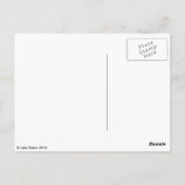 水蜘蛛 ポストカード (裏面)