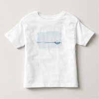 水表面の泡