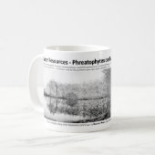 水資源I -景色のPhreatophytes コーヒーマグカップ (正面左)