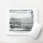 水資源I -景色のPhreatophytes マウスパッド (マウス)