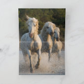 水走馬グリーティングカード カード (内部)