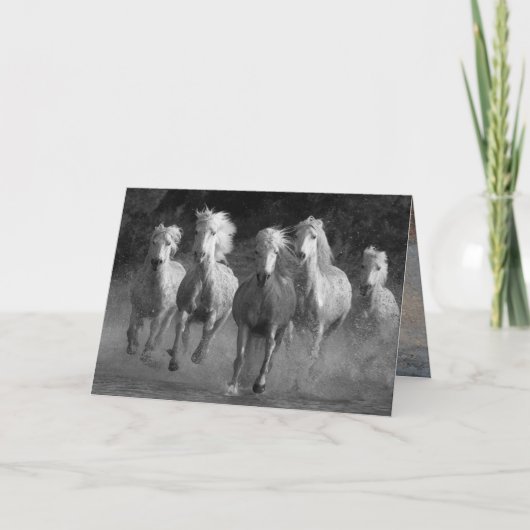 水走馬グリーティングカード カード (正面)
