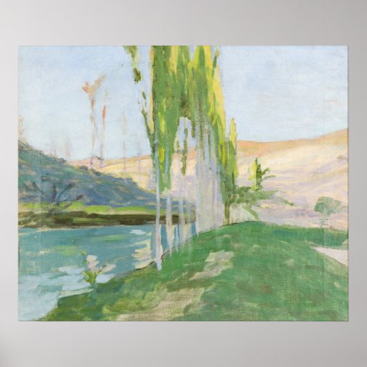 水路の近くに生えるポプラ ポスター (正面)