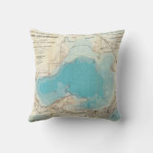 水路測量の地図湖Mendota クッション (裏面)