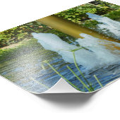 水踊り フォトプリント            (角)