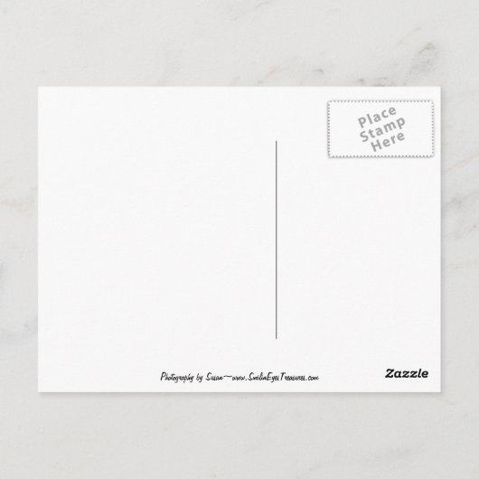 水車の池の水絵を描車のはがき ポストカード (裏面)