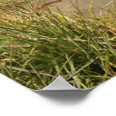 水車 ポスター (角)