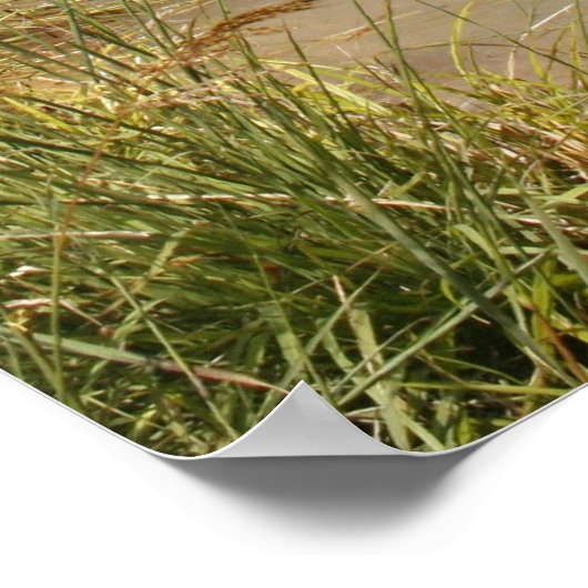 水車 ポスター (角)