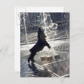 水辺で噴水を飛び越える黒犬 ポストカード (正面/裏面)