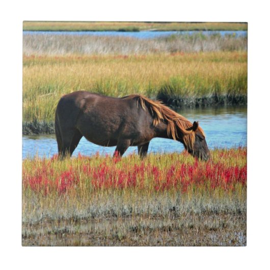 水辺の草原で grazing する茶色の馬 タイル (正面)