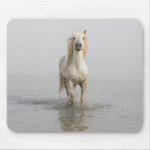 水辺を走るカマルグ馬 マウスパッド