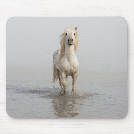 水辺を走るカマルグ馬 マウスパッド (正面)