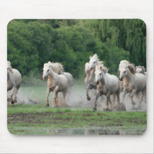 水辺を駆けるカマルグの馬 マウスパッド