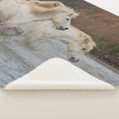 水辺を駆ける白いカマルグホース シェルパブランケット (3/4)