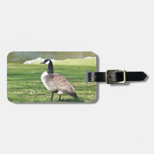 水辺地帯のガチョウ、野性生物動物、自然 ラゲッジタグ (正面横)