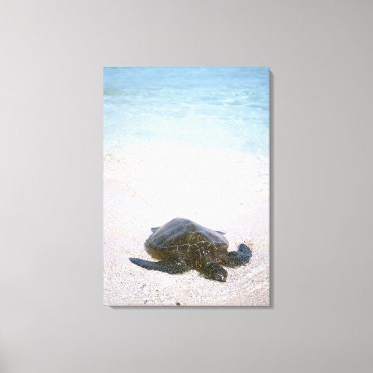 水辺 キャンバスプリント (正面)