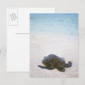 水辺 ポストカード (正面/裏面)