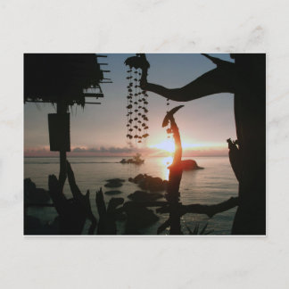 水酸化カリウム溶液タオ-タイ ポストカード