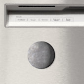 水銀 マグネット (インサイチュ (食洗機))