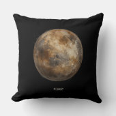 水銀：水色の惑星 クッション (正面)