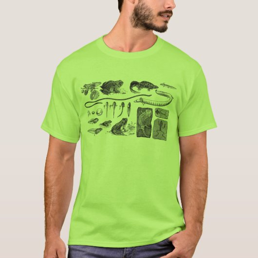 水陸両生的な進化 Tシャツ (正面)