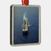 水陸両用の準備ができているグループ メタルオーナメント (右)