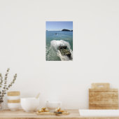 水陸両用アサルト車は井戸のデッキを出る ポスター (キッチン)