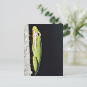 水陸両用カエルのカエルを壁に ポストカード (スタンド正面)