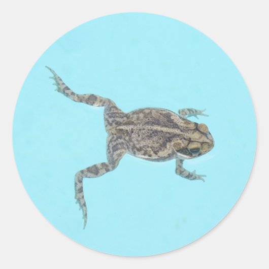 水陸両用シール02 ラウンドシール (正面)