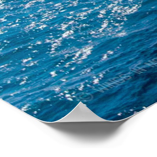 水陸両用突撃船 – LHD-6 ポスター (角)