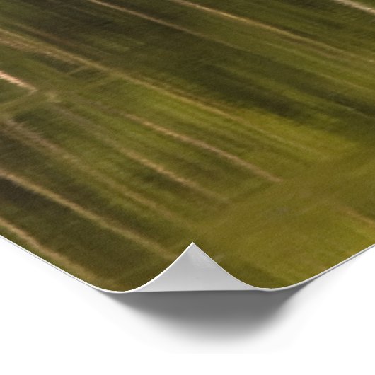 水面に映る木 ポスター (角)