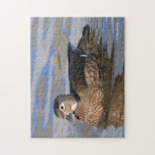 水面に浮かぶ美しい樹鴨の輪郭 ジグソーパズル (縦)