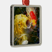 水面に浮かぶ黄色い鯉コイと金魚 メタルオーナメント (右)