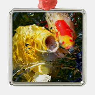 水面に浮かぶ黄色い鯉コイと金魚 メタルオーナメント