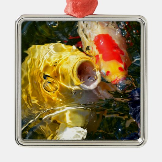 水面に浮かぶ黄色い鯉コイと金魚 メタルオーナメント (正面)