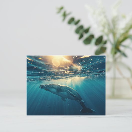 水面下の青クジラ ポストカード (スタンド正面)