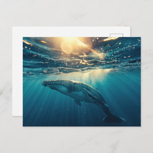水面下の青クジラ ポストカード (正面/裏面)