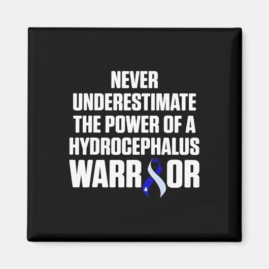 水頭生存者認識度戦争 マグネット (正面)