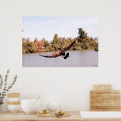 水飛んでいるの上で羽ばたき ポスター (キッチン)