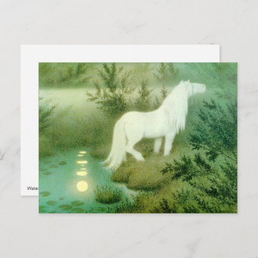 水馬ケルピーのアートワークのはがき ポストカード (正面/裏面)