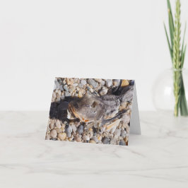 水魚の如く カード