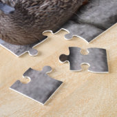 水鳥によるアヒルの自然 ジグソーパズル (側面)