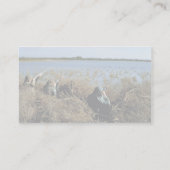 水鳥の狩り 名刺 (裏面)