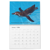 水鳥カレンダー カレンダー (1月 2026)